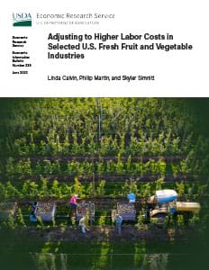 This is the cover image for the Adjusting to Higher Labor Costs in Selected U.S. Fresh Fruit and Vegetable Industries report.