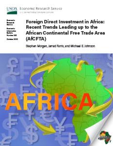 This is the cover image for the Foreign Direct Investment in Africa: Recent Trends Leading up to the African Continental Free Trade Area (AfCFTA) report.