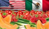 This is the newsroom image for the How Mexico’s Horticultural Export Sector Responded to the Food Safety Modernization Act report.