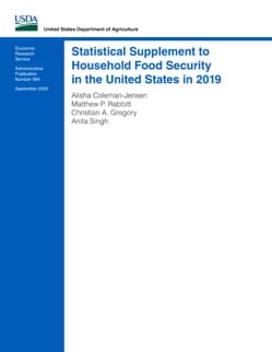 Statistical Supplement to Household Food Security in the United States in 2019 - cover