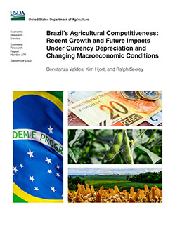 Brazil's Agricultural Competitiveness: Recent Growth and Future Impacts Cover