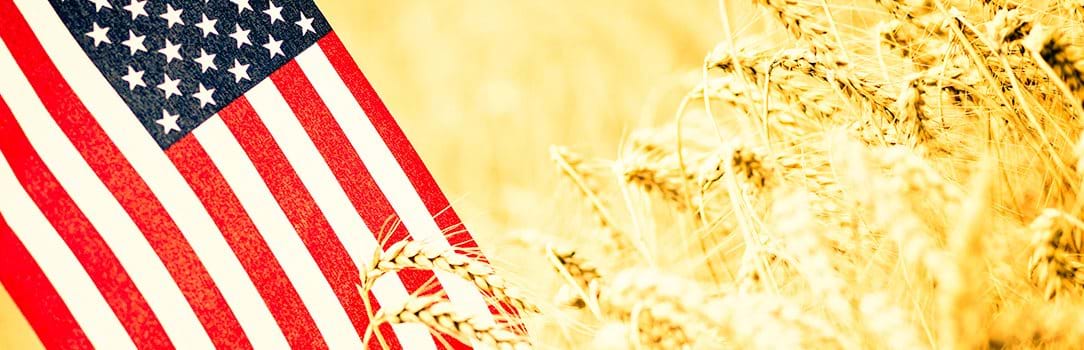An American flag over a golden wheat field.